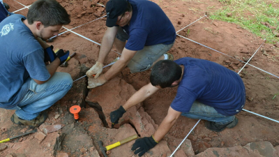El director del Museo Nacional UFRJ, el paleontólogo Alexander Kellner, destacó el buen nivel de conservación de los fósiles encontrados.