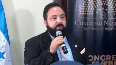 El presidente del Congreso Nacional (CN), Luis Redondo.