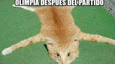 Olimpia nuevamente perdió ante Marathón en el estadio Yankel Rosenthal y los verdes tienen de hijo al cuadro verdolaga. Tras la caída, los memes contra los olimpistas no podían faltar.