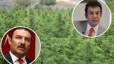 El diputado Rasel Tomé y el designado presidencial Salvador Nasralla.