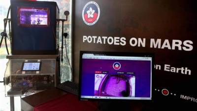 Los científicos monitorean la especie de patata, sometiéndola a las condiciones extremas que se encuentran el planeta rojo. Foto: Efe