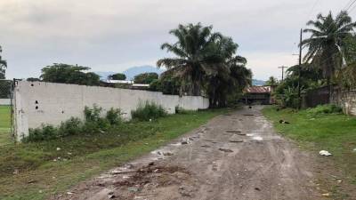 Hasta el momento se desconoce la identidad fémina.