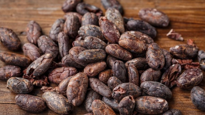 A los chocolates se sumaron otros productos a base de cacao, como el superalimento de Red Madre Cacao.