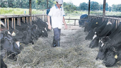 En las fincas ganaderas de la zona norte se están tomando todas las medidas preventivas a fin de evitar contagios en el ganado.