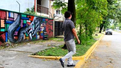 En el bulevar Los Caminantes iniciaron proyectos de reforestación.