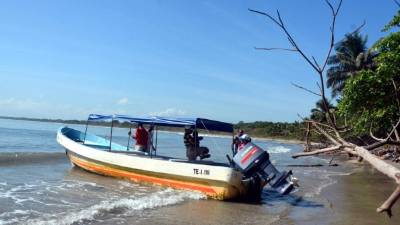 Se ha creado un plan para proteger la fauna marina que habita en la bahía de Tela.