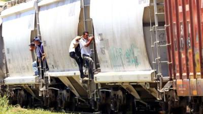 'La Bestia' es el nombre con el que los indocumentados han bautizado a los trenes que transportan mercancías en México, debido a los peligros que encuentran tanto al subirse a los convoyes como abordo de ellos.