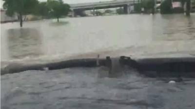 Foto captura de YouTube.