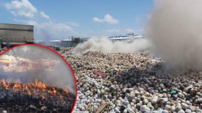 Este sábado se produjo un fuerte incendio en una planta textilera ubicada textilera de Río Nance, ubicada en Choloma, Cortés, zona norte de Honduras.