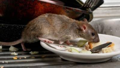 Autoridades sanitarias de Michigan han confirmado el caso de una mujer adulta que tiene afectados sus pulmones.