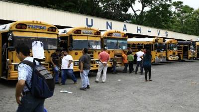 Los buses de servicio privado permanecen a las afueras de la Unah-vs a diario.