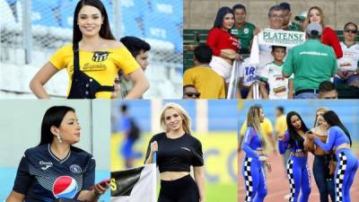 Ellas son las bellas chicas que adornaron la jornada 11 del Torneo Apertura 2019 en los estadios del fútbol de Honduras.