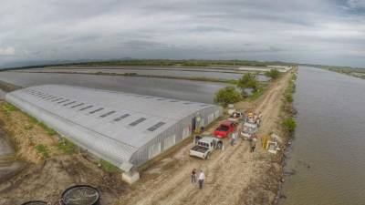 Vista de las camaroneras en la zona sur.