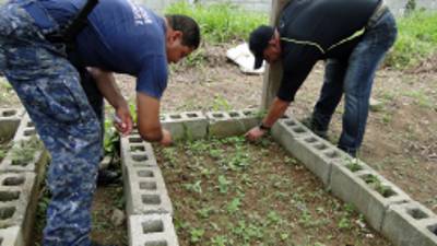 El vivero para la siembra de hortalizas en el centro penal está listo.