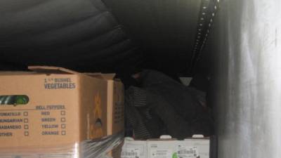 Los migrantes estaban ocultos entre cajas de brócolis en un contenedor refrigerado.