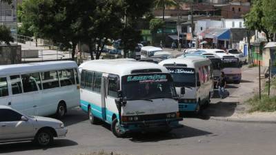 El paro de labores en el transporte público continuará este viernes.