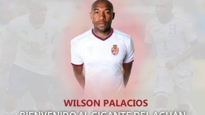Wilson Palacios jugará en la Real Socied de Tocoa.