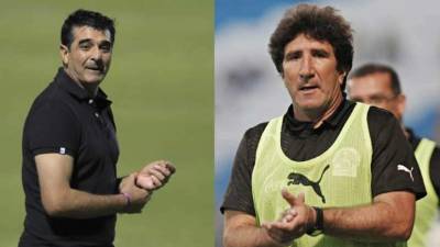 Los técnicos se caracterizan por sus peleas verbales.