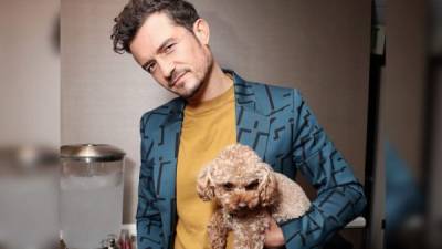 Orlando Bloom llevaba varios días buscando a su mascota.