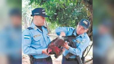 Los policías para apaciguar el momento de ira entre los dos hombres optaron por llevarse al animal hasta la posta.