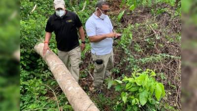 Autoridades de Medio Ambiente llegaron al lugar donde se encontraron los daños.