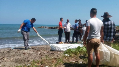 El hallazgo se registró la mañana de este domingo.