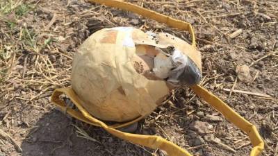 Según la Fusina, el supuesto artefacto 'fue lanzado a las casetas del peaje desde un vehículo en marcha'.