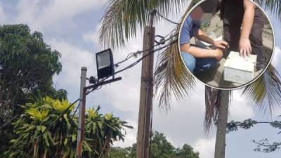 Este sistema de video vigilancia permitía cometer actos delictivos a la Mara Salvatrucha.