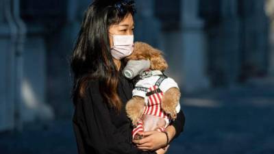 Hong Kong investiga un caso sospechoso de coronavirus en un perro.