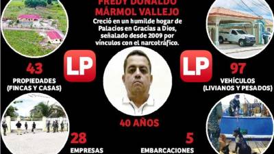 Análisis financieros establecen que Fredy Mármol tenía propiedades valoradas hasta en 40 millones de lempiras, condominios en zonas exclusivas de Tegucigalpa y Roatán, así como grandes extensiones de terrenos en La Mosquitia.