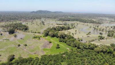 Todos los proyectos, fondos, mecanismos, instituciones de la UE se están movilizando hacia responder ante la pandemia.