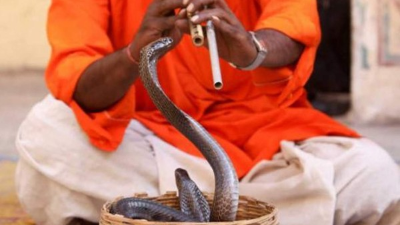 E hombre falleció casi de inmediato tras la mordida de la serpiente.