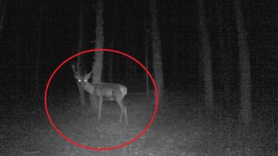 El video viral fue visto por miles de personas en YouTube.