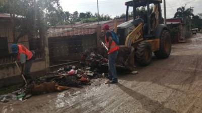 Continúan los trabajos de limpieza en el Valle de Sula.