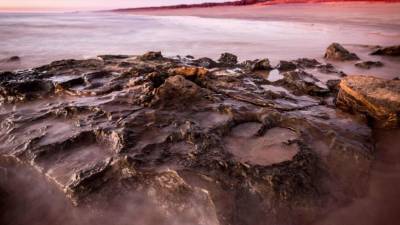 Se han descubierto 21 tipos de huellas de dinosaurio en unas rocas de hasta 140 millones de años de antigüedad.