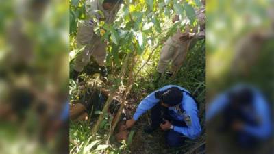 El joven fue rescatado en la colonia El Faro.