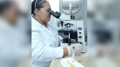En el laboratorio del Miguel Paz Barahona se toman las muestras para diagnosticar las tres enfermedades.