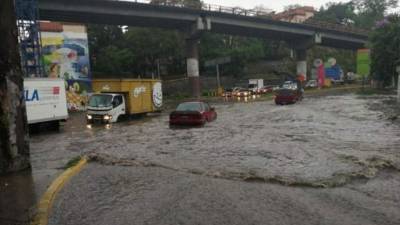 231 municipios están bajo alerta verde. Foto: Twitter