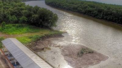 En el país hay más de 16,000 hectáreas de cultivo de camarón. Foto: Yoseph Amaya.