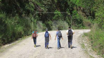 Estudiantes caminan hasta cuatro horas para movilizarse entre su escuela y viviendas en Gualcince.