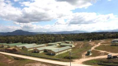 El complejo habitacional de Patuca III fue adjudicado a inversiones Acrópolis, cuyo gerente era Francisco Arturo Mejía.