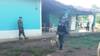 Las autoridades están realizando varias capturas en distintos puntos de Honduras.