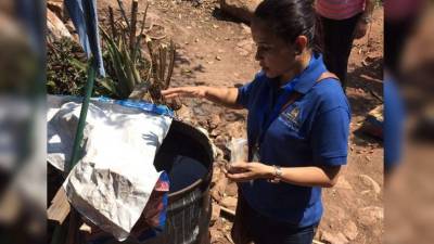 El abate sigue siendo medida para acabar con las larvas.