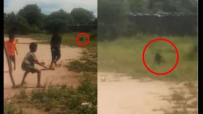 Captura de pantalla.