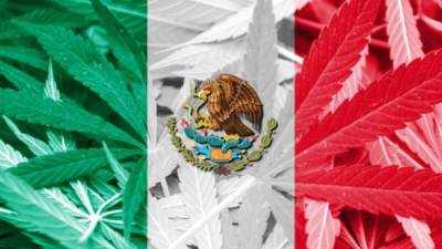 México se une a la lista de países que legalizan el uso de la droga.