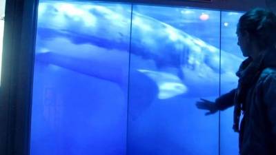 El 'estanque' se encuentra el El Museo Internacional del Espía.