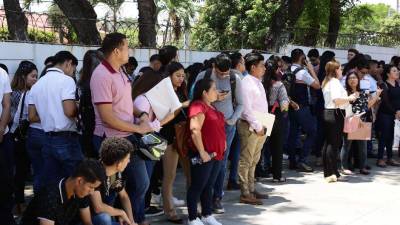 Cientos de jóvenes universitarios buscan cada semana fuentes de empleo en el país que les permitan tener una mejor calidad de vida.