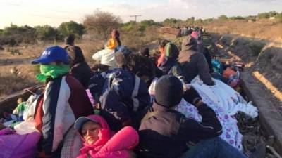 Castro se declaró culpable en diciembre de colaborar en la operación que llevaba inmigrantes mexicanos indocumentados. Foto: EFE/Archivo