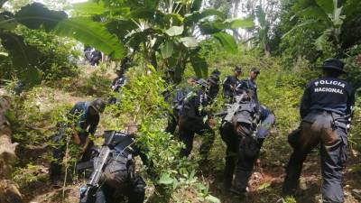 El operativo se desarrolló en el sector Montaña Las Flores