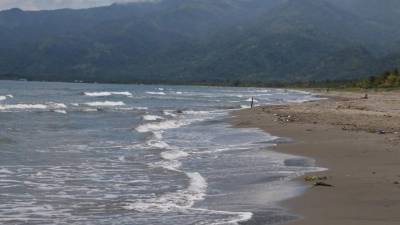 En el parque Nacional Cuyamel-Omoa hay flora, fauna y otras bellezas